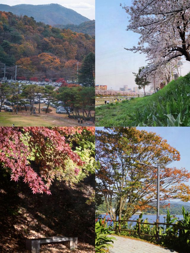 韓國清州旅遊攻略！