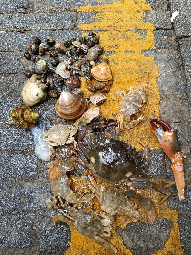 深圳最識玩嘅治癒系民宿！解鎖N種海趣玩法，步行1分鐘直達海邊