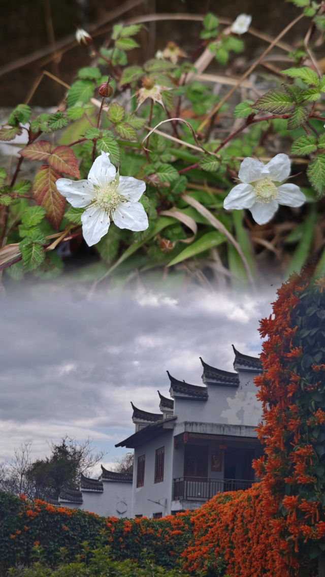 二人同行｜福州遠足：升山寺-湖頂山-森林公園