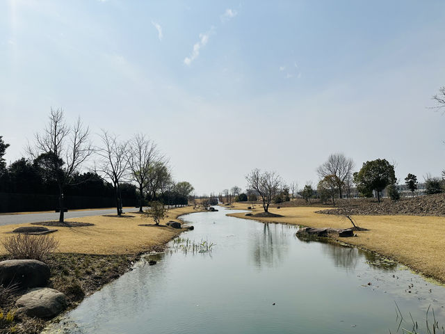 上海辰山植物園