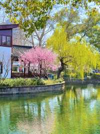 盤點上海十大美景鬱金香公園之｜閘北公園