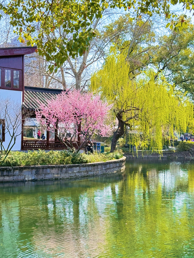盤點上海十大美景鬱金香公園之｜閘北公園