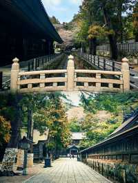 日本超靈驗結緣神社，單身人士必去出雲大社