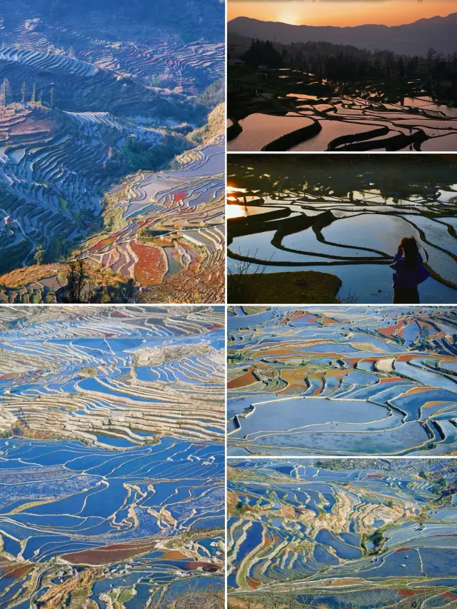 Ailao Mountain is more than just mist; it also has the colorful glass of Yuanyang Rice Terraces.