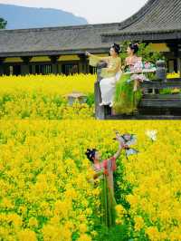 成都周邊｜花香四溢，邂逅浪漫春日