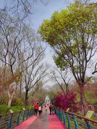 上海吳淞炮台灣國家濕地公園