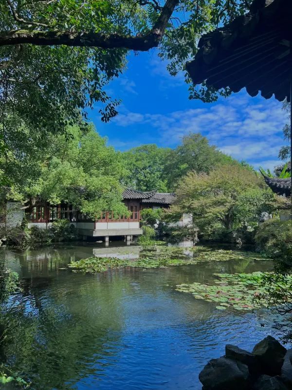 Discover the Beauty of West Lake with a 30,000-Step Adventure!
