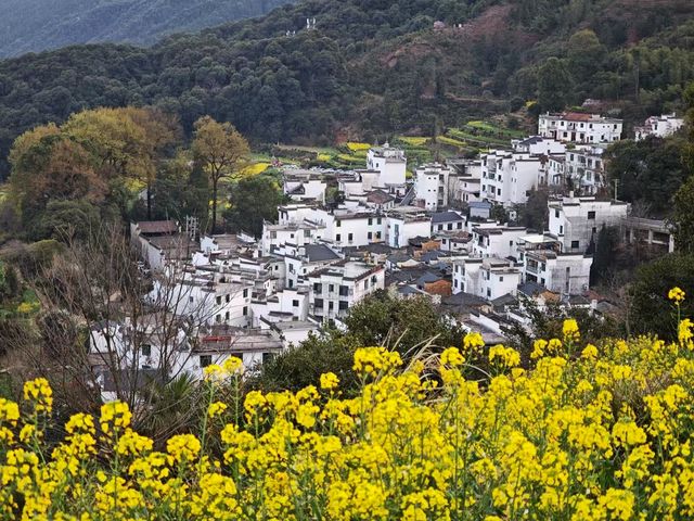 三月底婺源油菜花旅遊攻略