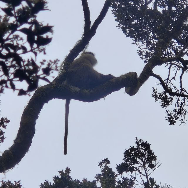 斯里蘭卡的旅行