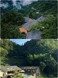 雲裏小憩，花間造夢——花婆婆民宿