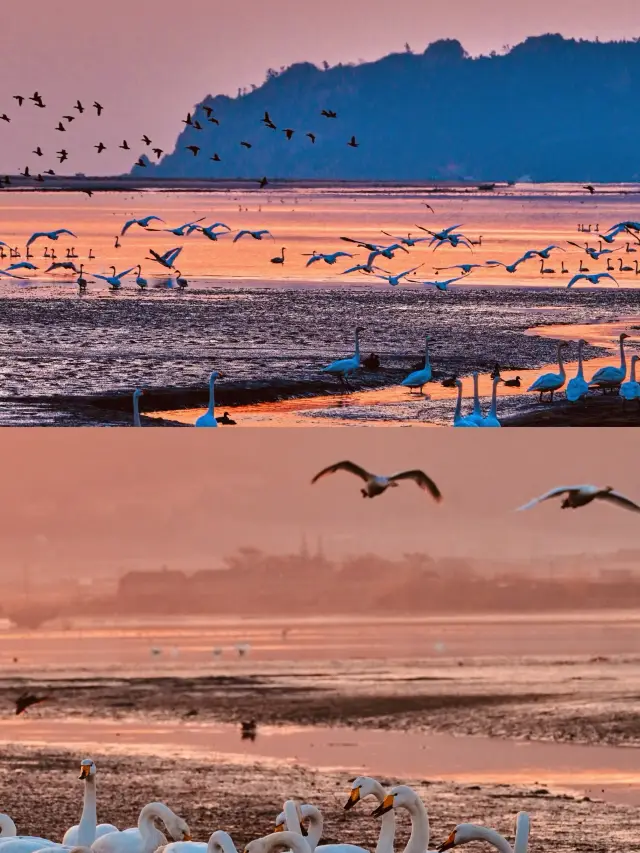 คิดว่าชิงเต่าสวยแล้ว จนกระทั่งฉันได้ไปเหว่ยไห่…