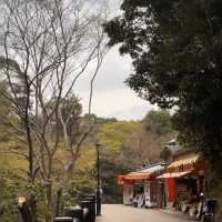 逃離大阪市區喧囂，奔赴箕面北公園吸氧啦🌿