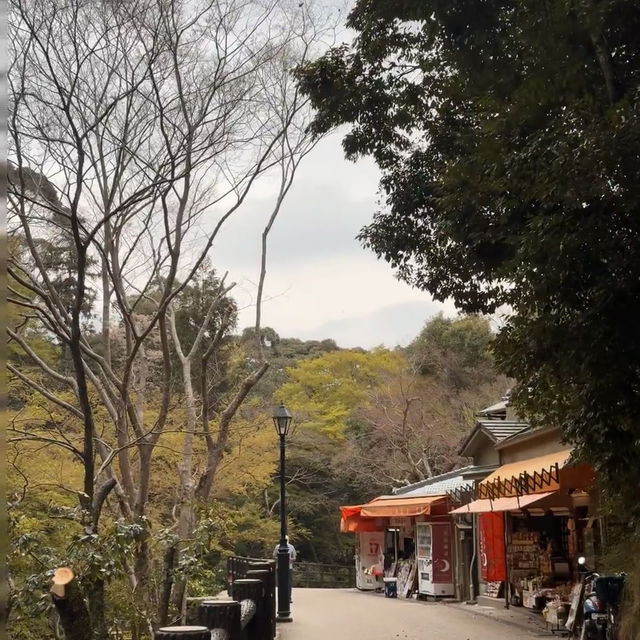逃離大阪市區喧囂，奔赴箕面北公園吸氧啦🌿