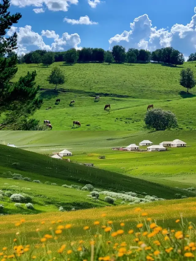 秦皇島から帰ってきたばかりですが、いくつか耳の痛い事実をお話しします