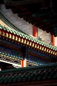 西安｜繡球花開大興善寺裡的春和景明