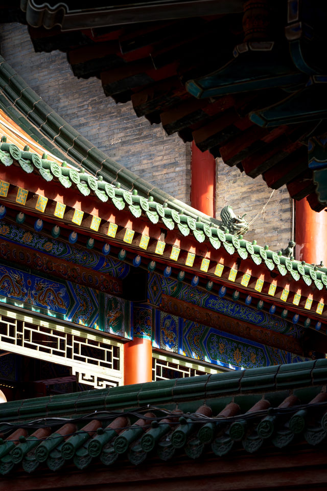 西安｜繡球花開大興善寺裡的春和景明