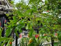 不要錯過在中山的著名蘇杭園林建築-詹園