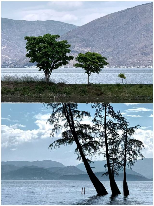 大理古城很美，但不會再去了