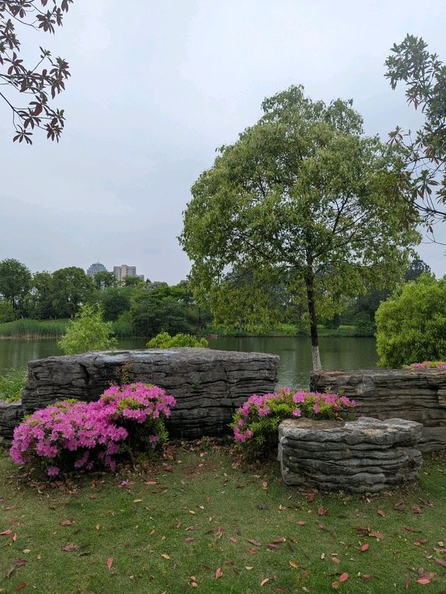 XiangHu park