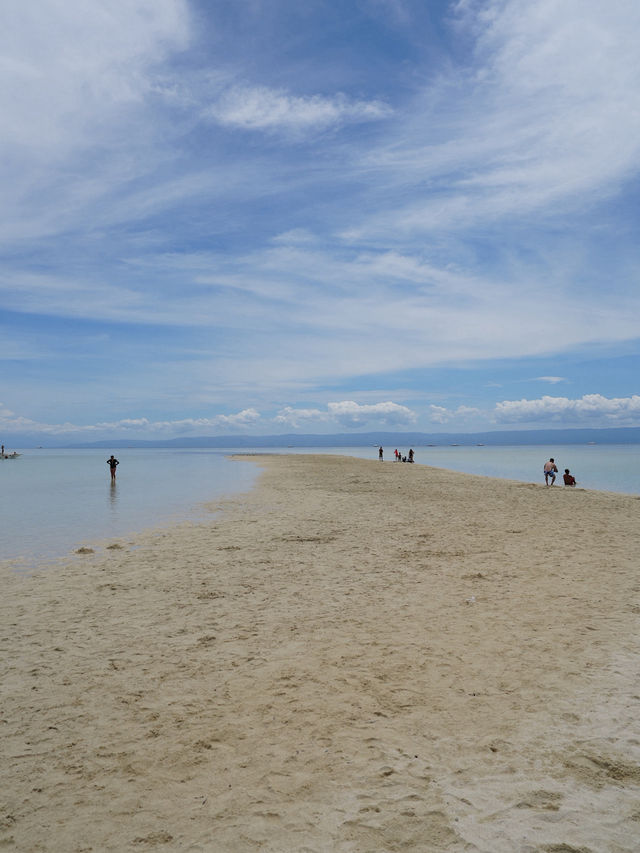 Beach Moments and ✨ Magical Whale Watching in Bohol, Philippines! 🌊