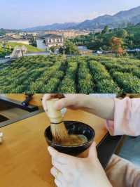 五一去邊玩？信陽毛尖茶旅路線來啦！