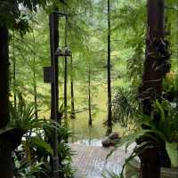深圳仙湖植物園 | 必打卡景點推薦