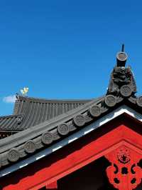 京都＆宇治雙城記，世界文化遺產之旅