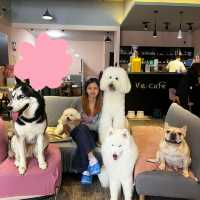 🐾 ☕️ Paws & Lattes at VE Café, Shinan 