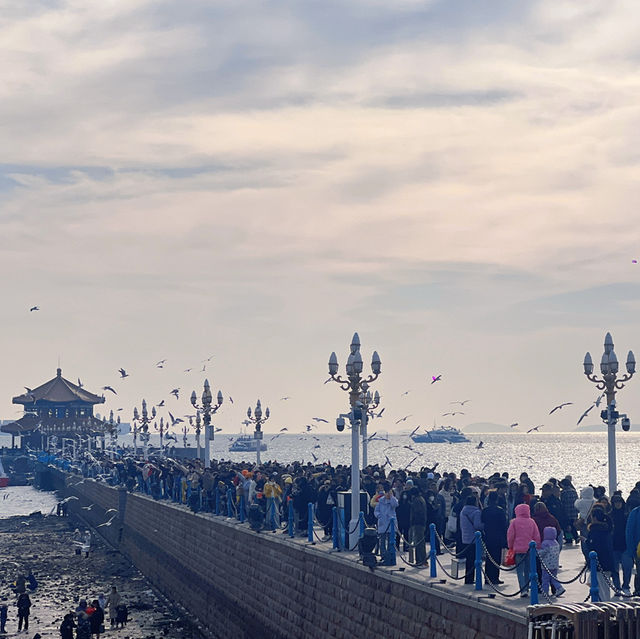 The Heart of Qingdao’s Culture and Scenic Views