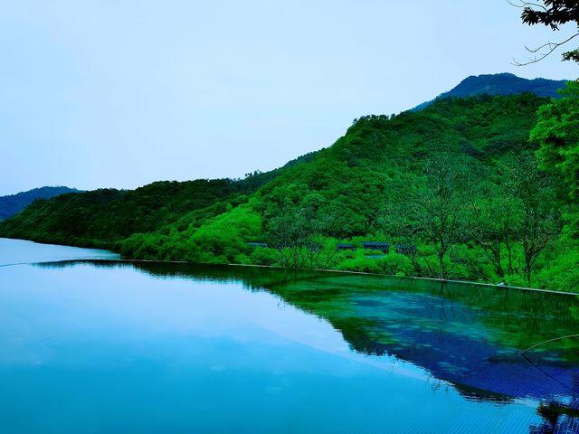 富春江畔星舟咖啡館！坐進森海看雲卷雲舒