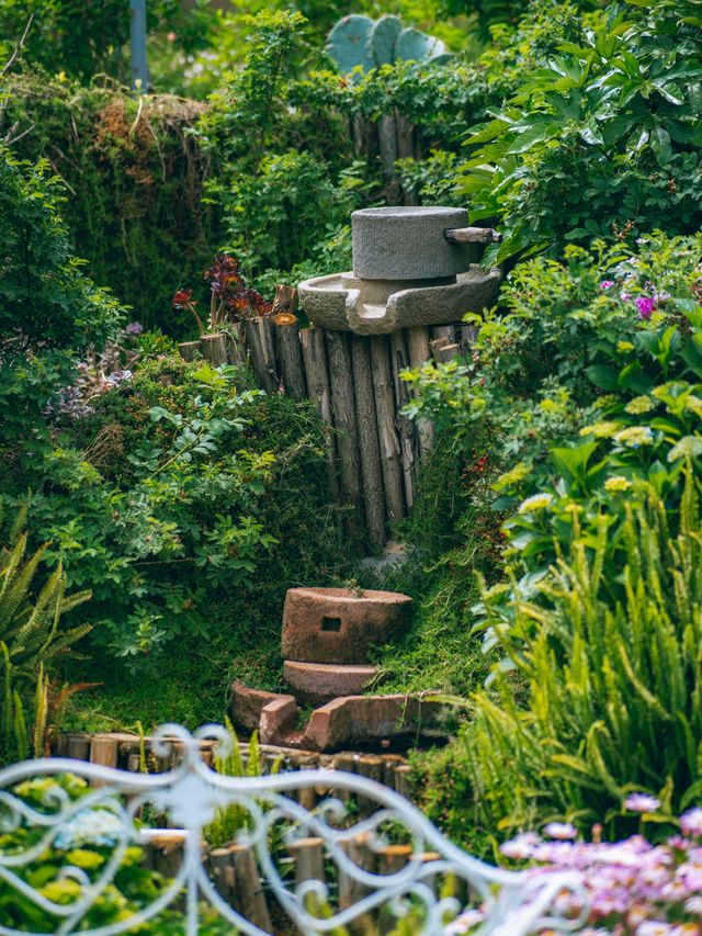 嘩塞 昆明高鐵南站旁的秘密花園