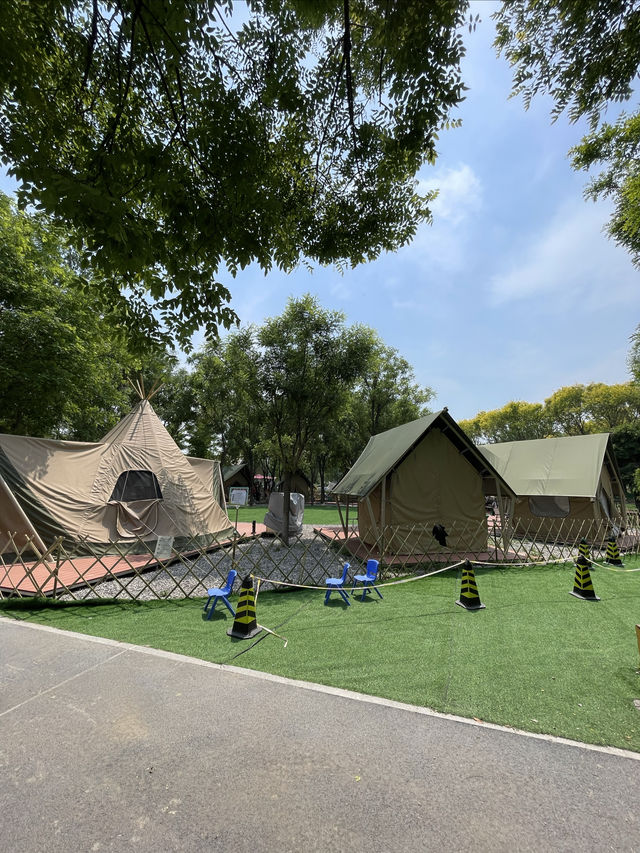 花海仙境戶外樂園，歡樂啟程，暢玩全天