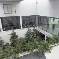 An Incredible World Of Art for Less than $1!! Taipei Fine Arts Museum, Best Value In The City   
