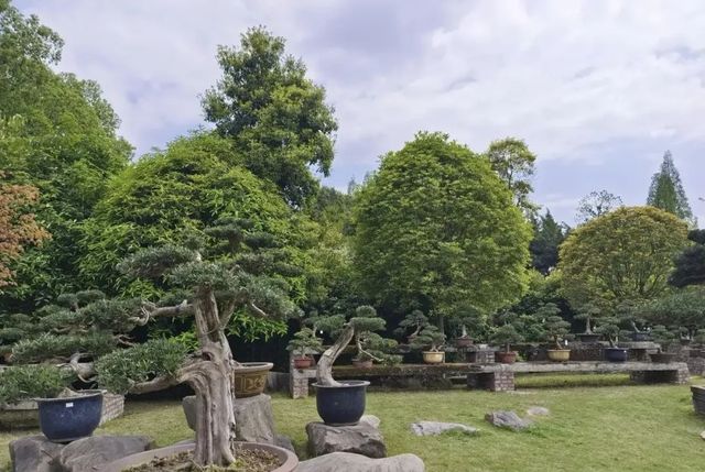 川西園林縮影