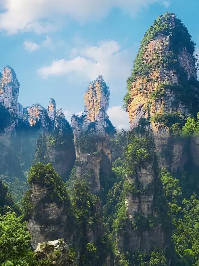 Can You Really Climb Zhangjiajie's "Floating Mountains"? Foreign Netizen Bets 1 Million: Fake!