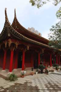 成都向南一半禪意鐵像寺 一半煙火是水街