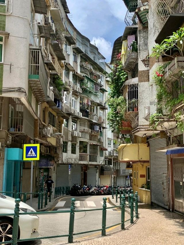 香港出發到澳門氹仔碼頭景點交通攻略 