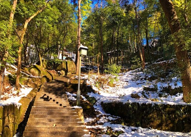 《被古人呃咗1200年！黃山「蓮花芯」先係外星戰場》
