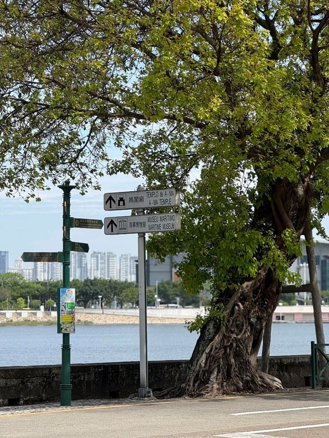 澳門衣灣斜巷週邊美食探秘攻略 
