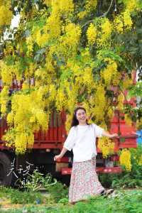 中山港口臘腸花｜藏喺路邊嘅春日限定浪漫