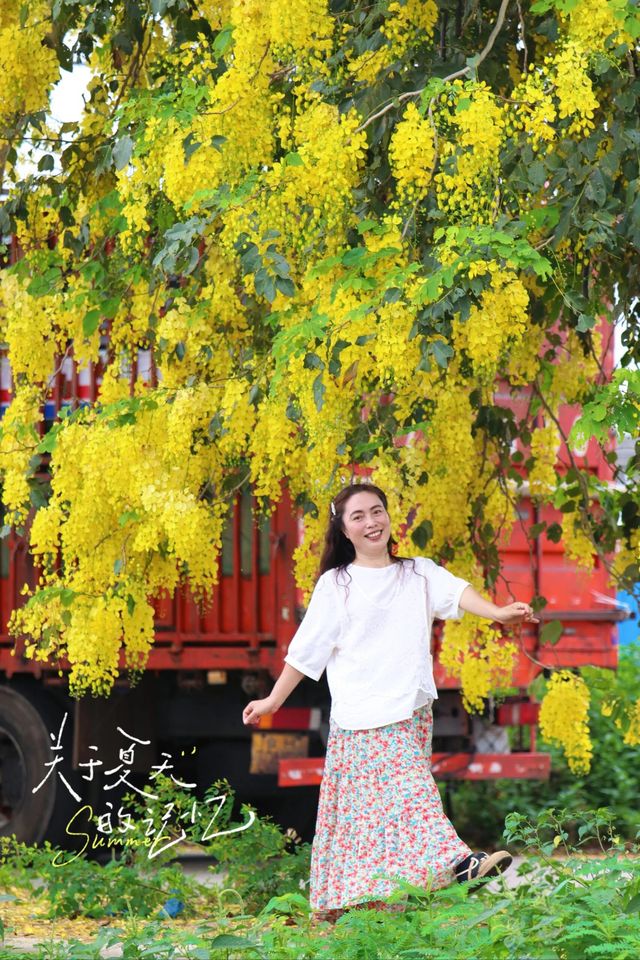 中山港口臘腸花｜藏喺路邊嘅春日限定浪漫