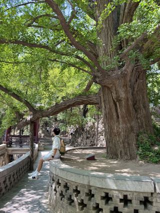剛從太原3日2夜返嚟，請直接複製我嘅旅遊攻略