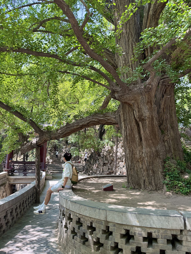 剛從太原3日2夜返嚟，請直接複製我嘅旅遊攻略
