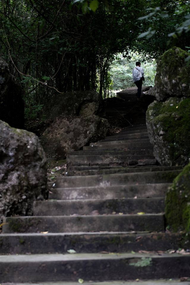 香積寺探幽 | 合谷山居專屬行山體驗