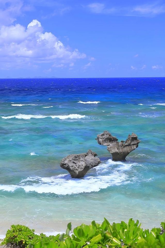 炎炎夏日沖繩必去！7個果凍海攻略