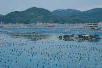邂逅夢幻海島，展開治癒之旅