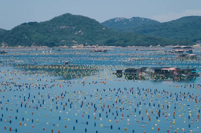 邂逅夢幻海島，展開治癒之旅