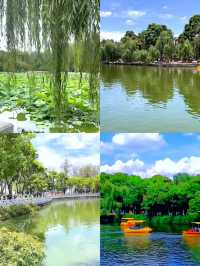 「昆明翠湖公園：城市中的詩意綠寶石」