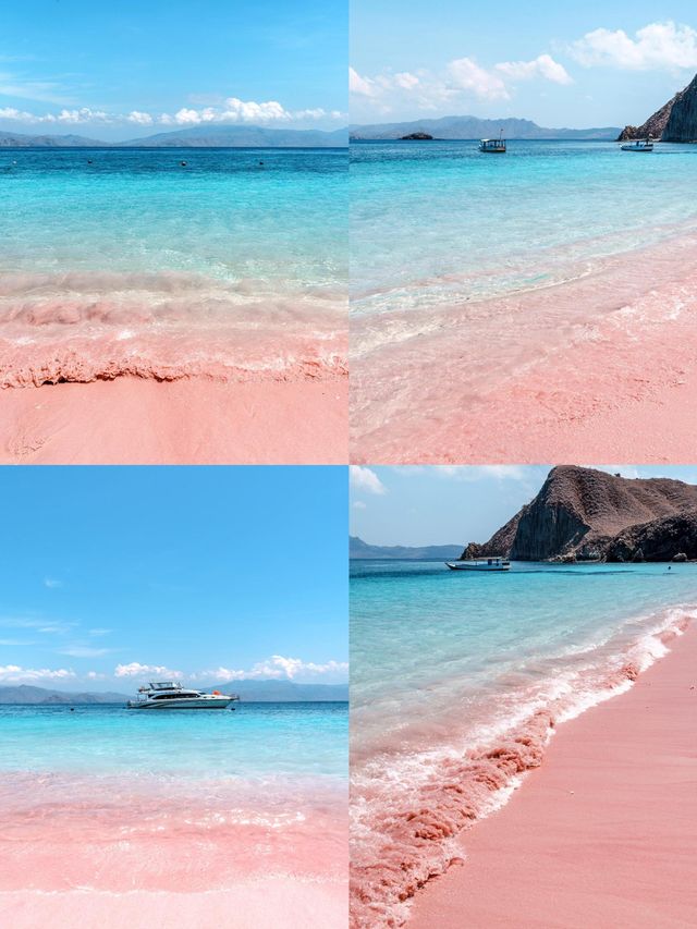 爆紅朋友圈嘅海島密碼：唔係峇里島，係科莫多嘅浪漫！