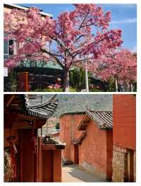 四川-攀枝花遊玩日記，即刻出發